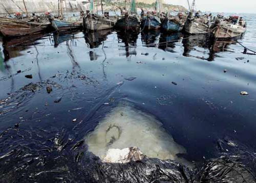 我國航運(yùn)業(yè)面臨低碳巨大挑戰(zhàn)